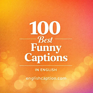 100 Best Funny Captions in English (Short, Cool & Hilarious) 100 Best Funny Captions in English (Short, Cool & Hilarious)